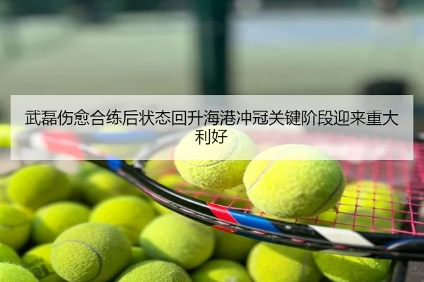 武磊伤愈合练后状态回升海港冲冠关键阶段迎来重大利好