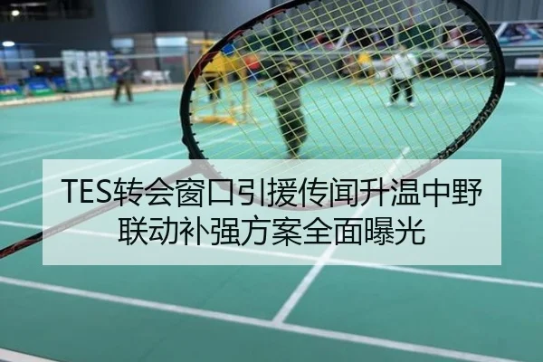 TES转会窗口引援传闻升温中野联动补强方案全面曝光