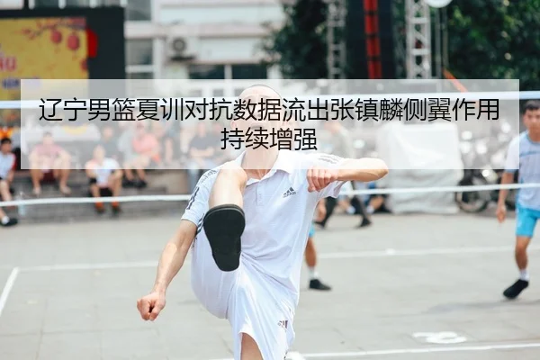 辽宁男篮夏训对抗数据流出张镇麟侧翼作用持续增强
